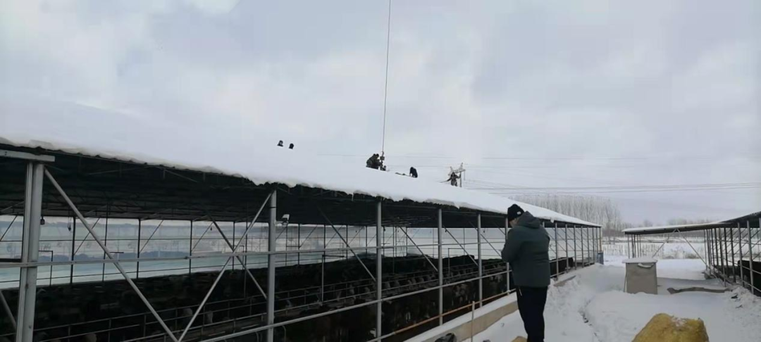 ����ʹ-fun88����ʹ-�ٷ���վ