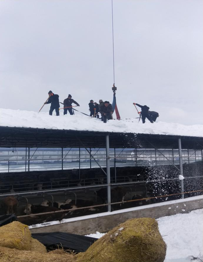 ����ʹ-fun88����ʹ-�ٷ���վ