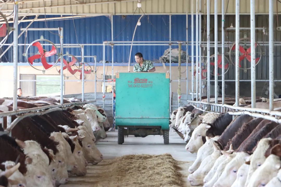 ����ʹ-fun88����ʹ-�ٷ���վ