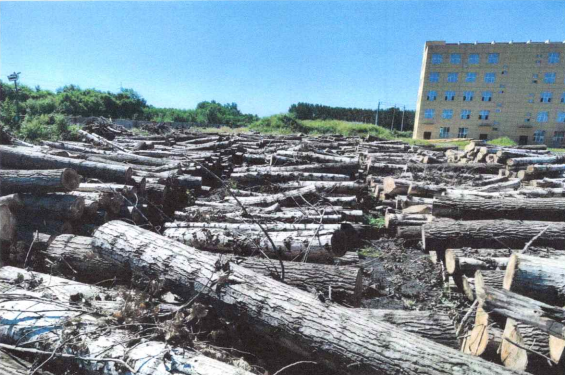 ����ʹ-fun88����ʹ-�ٷ���վ