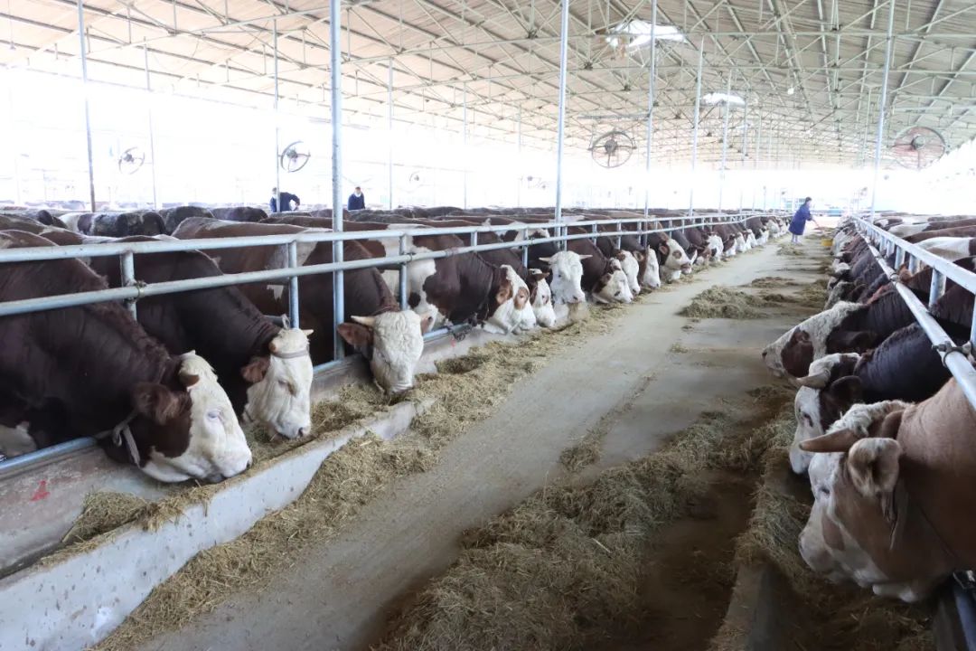 ����ʹ-fun88����ʹ-�ٷ���վ