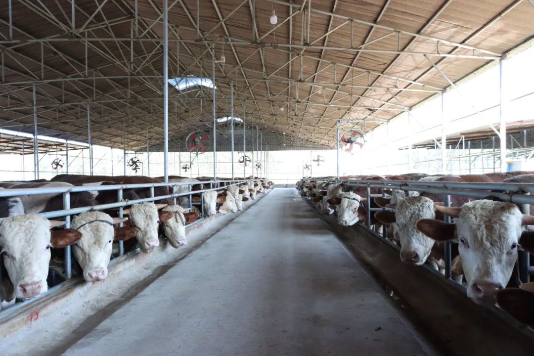 ����ʹ-fun88����ʹ-�ٷ���վ