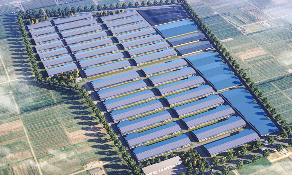 ����ʹ-fun88����ʹ-�ٷ���վ